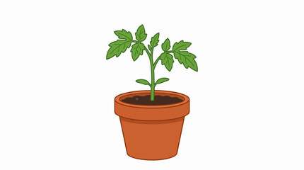 Fototapeta premium Green Young Tomato Sprout Growing in a Ceramic Clay Pot with Dark Soil for Urban Gardening Concept