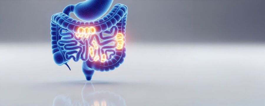 Microbiome health research intestinal gut concept glowing colon cross section showing inflammation and beneficial bacteria in clinical illustration