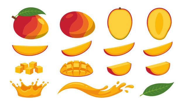 Mango Fruit Vector Illustration Set with Whole Mangos Half Slices Diced Cubes Juice Splash Crown Wave and Green Leaves for Organic Food Beverage Graphic Designs
