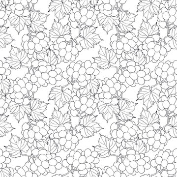 Seamless pattern with grapes