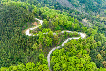 A winding paved road cuts through lush green mountain forests in a scenic natural landscape. © tai