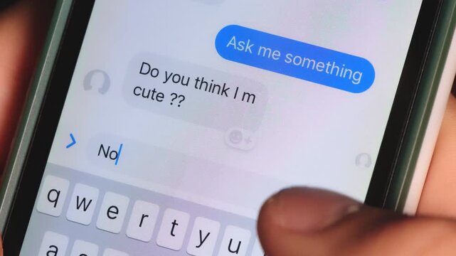 Smartphone messaging interface showing user typing rude and insulting comments to a contact in an instant messaging app.