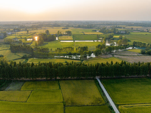Aerial view of patchwork farmland with water ponds, tree lines and a path, bathed in warm sunset light in a rural setting.