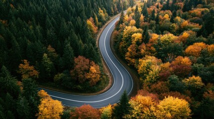 Fototapeta premium Winding road through a vibrant autumnal forest, aerial view
