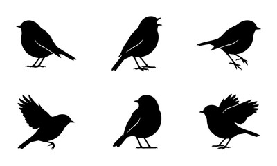 Fototapeta premium Set of Six Black Bird Silhouettes, Vector Icons, Nature Wildlife Collection