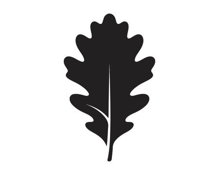 Oak leaf silhouette icon presented in a black flat vector graphic style on a clean white background for modern botanical design projects.