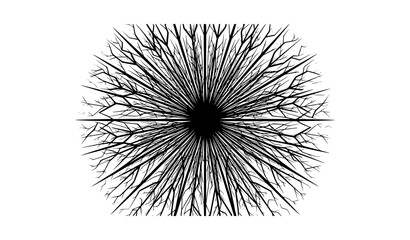 Obraz premium Psychedelic Fractal Sunburst Black White Vector Background