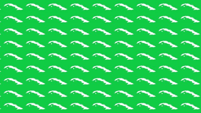 Cuba map pattern scrolling perfect 15 second loop with green background
