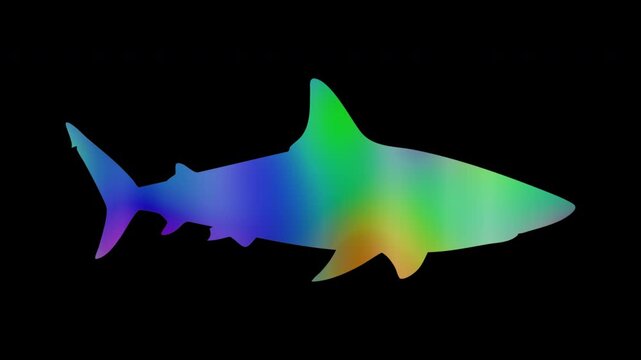 Shark silhouettes featuring colorful, abstract patterns, loop, alpha channels