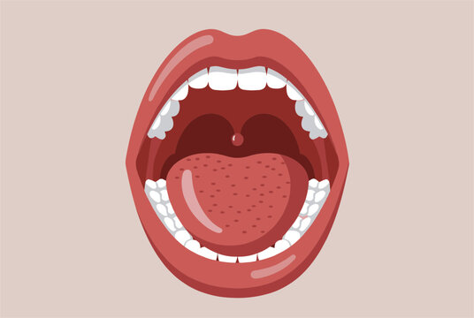 Anatomical illustration of a wide open human mouth showing teeth, tongue, tonsils, and uvula for medical and dental education.