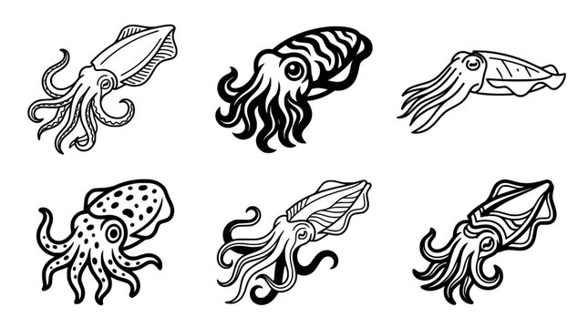 Detailed Cuttlefish and Squid Vector Illustration Set Featuring Various Marine Cephalopod Outlines with Decorative Line Art Patterns for Seafood Menus Ocean Wildlife Education and Logo Designs
