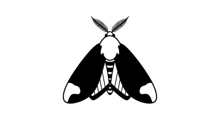 Black and white illustration of moth. © A