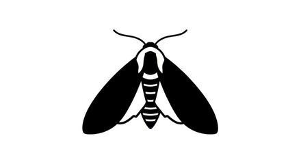 Black and white moth insect illustration. © A