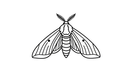 Detailed illustration of a moth insect. © A