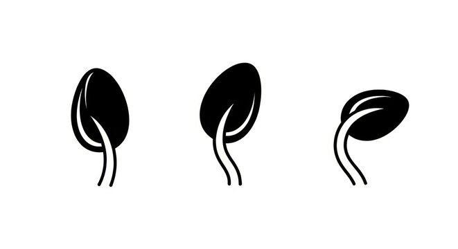 Kidney icons set.