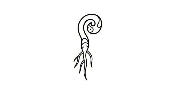 Simple line drawing of a shrimp.