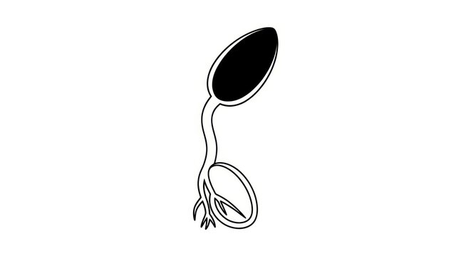 Sperm Cell Biology Illustration.