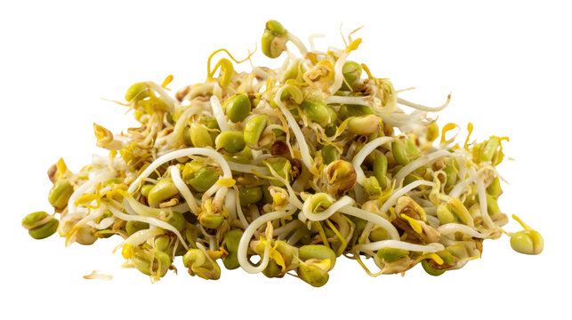 Fresh organic raw mung bean sprouts pile with tender white stems and yellow seeds showing natural texture closeup isolated on white background