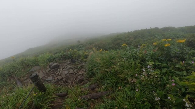 平標山　登山道