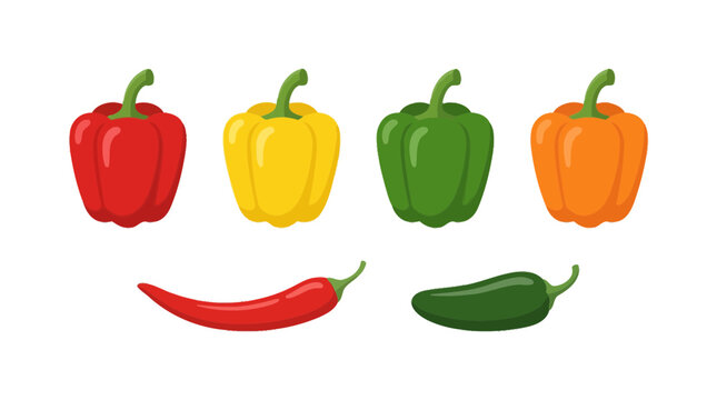 A collection of colorful bell peppers and chili peppers illustrated in a flat vector style.