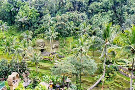BALI, INDONESIA &ndash; OCTOBER 20, 2024: Panoramic high angle view of Tegallalang Rice Terraces at Alas Harum Bali.