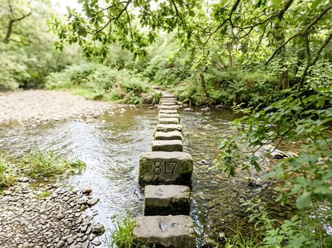Stepping stone path across a shallow river in a lush green forest with a numbered stone 817 in the foreground, surrounded by dense summer foliage and pebbles.