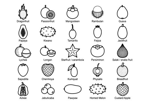 A vibrant collection of tropical fruit illustrations showcases a diverse array of exotic produce, presented in a clean, modern graphic style.