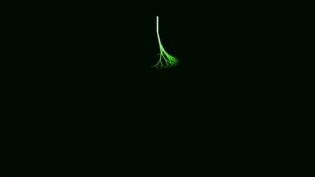 Abstract Green Branching Structure on Black Background - Organic Growth