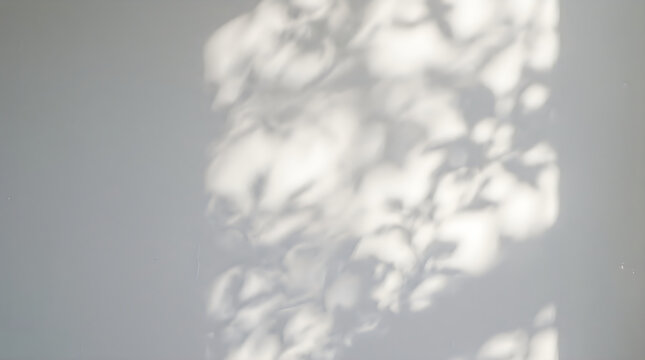 Abstract background featuring soft natural shadows of tree leaves cast onto a plain neutral gray wall creating a minimalist and serene aesthetic atmosphere