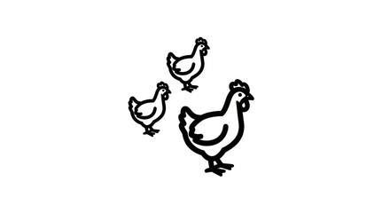 Fototapeta premium Three Chickens Standing Together Outdoors.