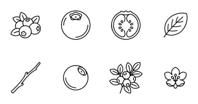 Berries and Leaves linear icon set blueberries lingonberries, UI and web interface design