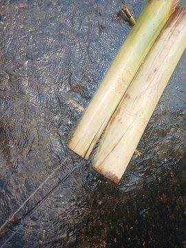 Banana tree raft for villager play