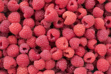 Fresh ripe raspberries photographed close up as a natural food background. Detailed texture of juicy berries representing healthy eating and summer harvest. © Olha