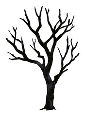 Fototapeta premium Silhouette of a leafless tree in PNG format with a transparent background.
