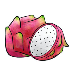 Dragon fruit watercolor with outline. Watercolor tropical fruit.