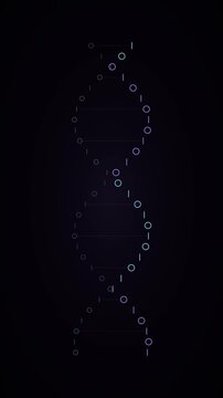 Code Double Helix Loop