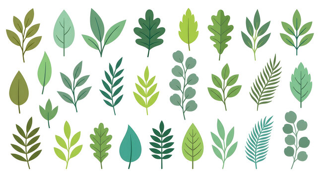 Botanical Collection: A diverse assortment of green leaves and branches, rendered in a flat illustration style, showcasing a variety of shapes and textures.