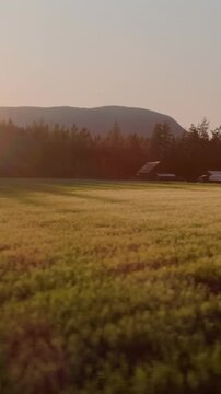 Video of farmhouse, field with trees and lake on sunny day
