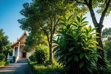 Obraz premium Traditional Thai temple building with golden roof stands in green garden. Tall tropical trees, leafy plants grow near white buddhist architecture. Sunny day at religious site with blue sky, summer