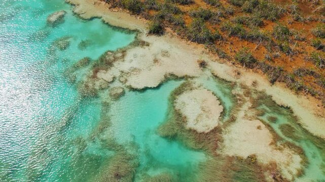 Vivid turquoise waters of Los Rapidos Bacalar bordered by red mangrove vegetation and ancient stromatolite formations