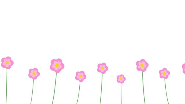 Minimalist pink flower border illustration with video displays horizontal