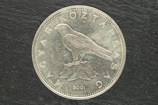 Coin 50 forints of Hungary 2001