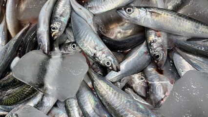 Obraz premium Piles of mackerel are sold at the market as raw material for food.