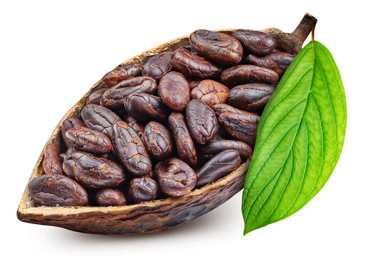 Cocoa pod with beans and green leaf. Cocoa pod isolated white background