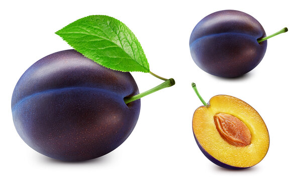 Fresh organic plum isolated clipping path. Plum macro studio photo. Plum High End Retouching
