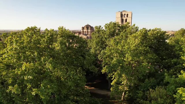 Drone rising through the forest revealing Zamora Cathedral, Zamora, Spain