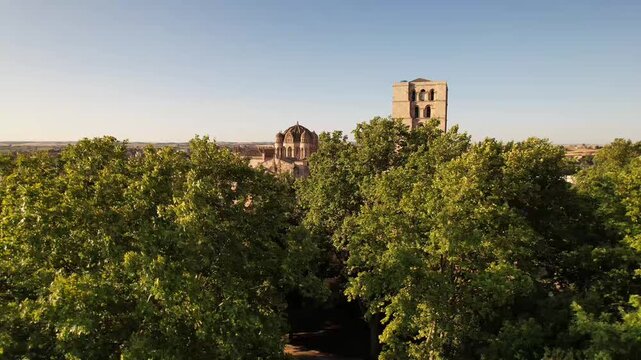 Drone rising through the forest revealing Zamora Cathedral, Zamora, Spain