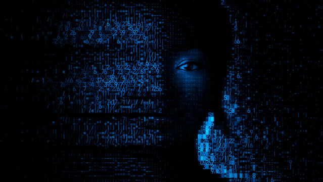 Woman's Face formed from Source Data. Digital Twin Concept.