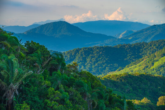 Majestic tropical rainforest mountains in Rio de Janeiro Brazil with copy space
