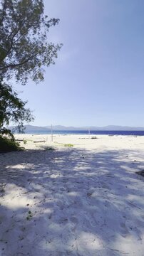 Sunny Beach with White Sand and Tree Shadows